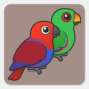 Sticker Carré Paires d'Eclectus