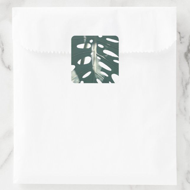 Sticker Carré Pale Green Pastel Fromage Suisse Plante (Sac)