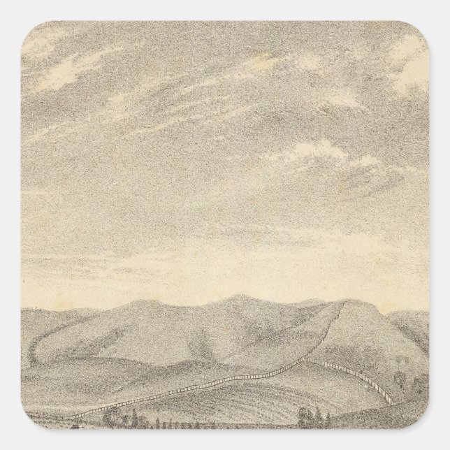 Sticker Carré Palmer res, vignoble (Devant)