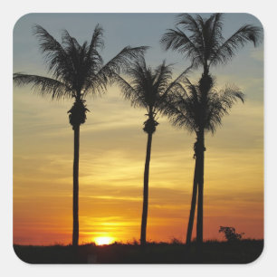 Sticker Carré Palmiers et coucher de soleil, Mindil Beach