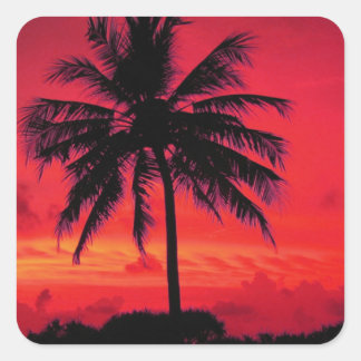 Sticker Carré Palmiers exotiques du coucher de soleil de l'Hawaï