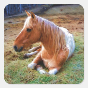 Sticker Carré Palomino Pinto Cheval Repose d'oeuvres