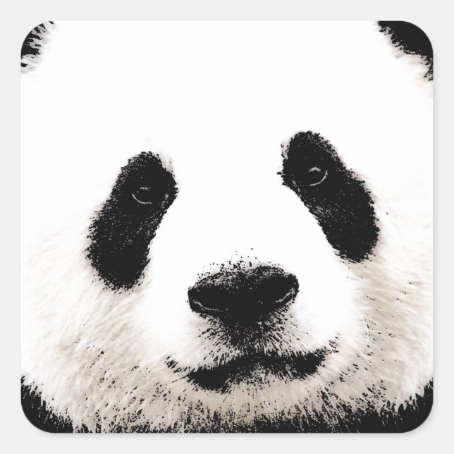 Sticker Carré Panda (Devant)