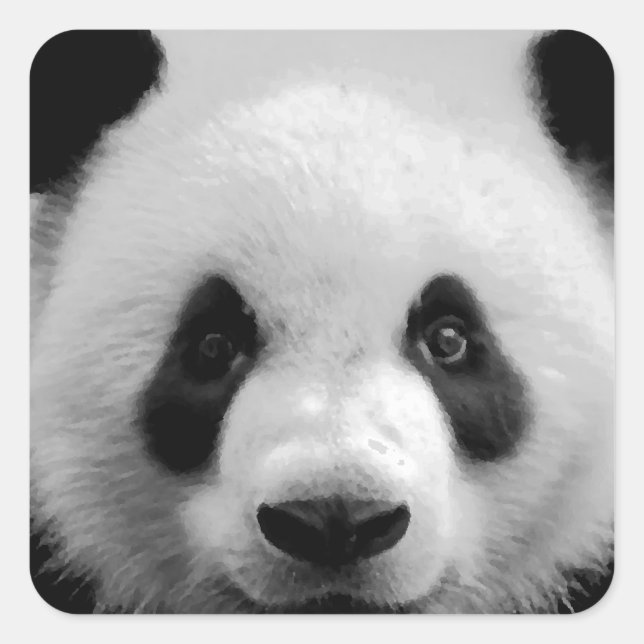 Sticker Carré Panda (Devant)