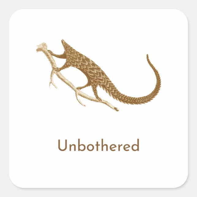 Sticker Carré Pangolin imperturbable (Devant)