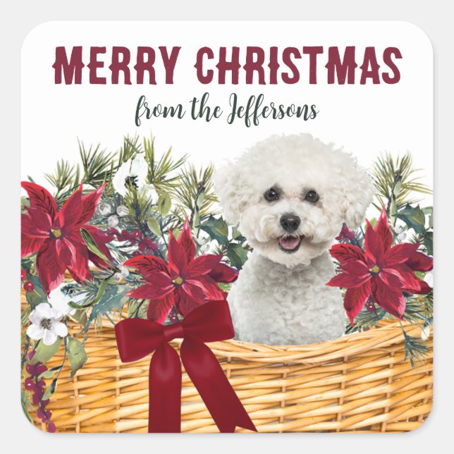 Sticker Carré Panier de Noël Poinsettia Bichon Frise Chien (Devant)