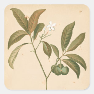 Sticker Carré Panneau Décor Cobalt I