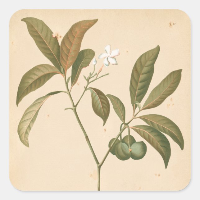 Sticker Carré Panneau Décor Cobalt I (Devant)