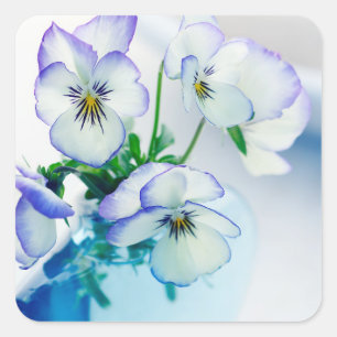 Sticker Carré Pansies violettes blanches Fleurs Vase bleu Floral