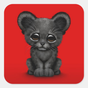 Sticker Carré Panthère noire CUB de bébé mignon sur le rouge