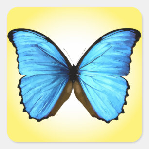 Sticker Carré Papillon