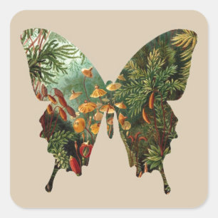 Sticker Carré Papillon abstrait