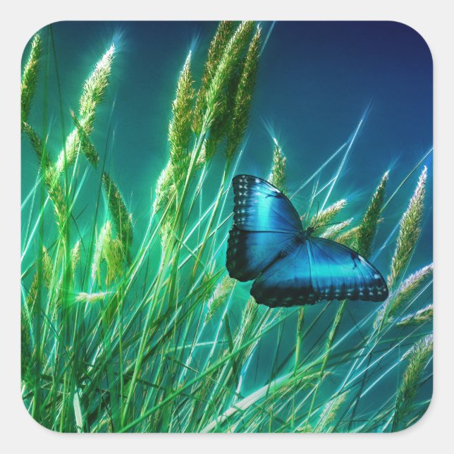 Sticker Carré Papillon bleu Morpho sur herbe verte (Devant)
