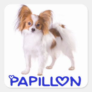 Sticker Carré Papillon Chiot - Amour Chiots, Bonjour