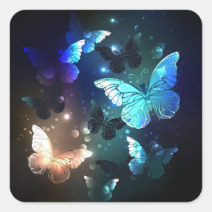 Sticker Carré Papillon de nuit