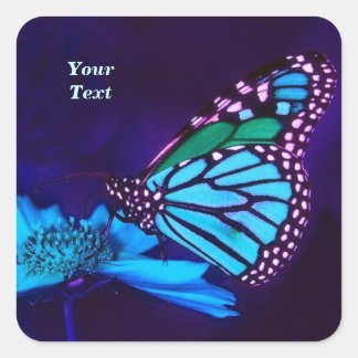 Sticker Carré Papillon en lumière bleue