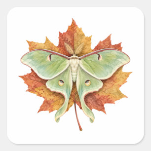 Sticker Carré Papillon lune sur une feuille d'érable