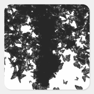 Sticker Carré papillon noir yaie swallowtail
