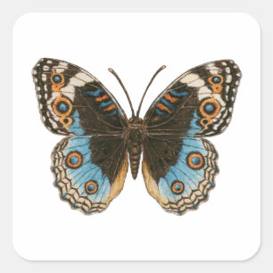 Sticker Carré Papillon Pansy Bleu