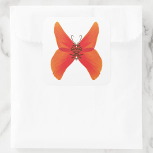 Sticker Carré Papillon rouge orange avec votre nom