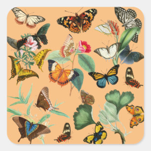 Sticker Carré Papillon vintage, Arrière - plan orange jaune