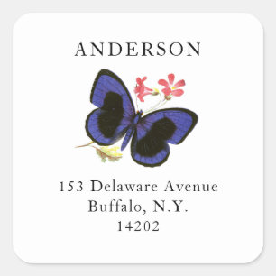 Sticker Carré Papillon vintage Bright Royal Blue Moth