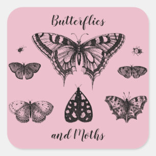 Sticker Carré Papillons et Moths Impression Vintage