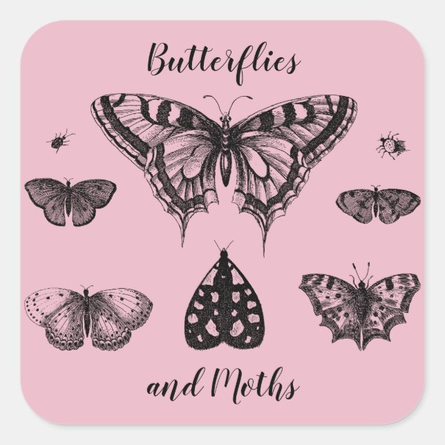 Sticker Carré Papillons et Moths Impression Vintage (Devant)