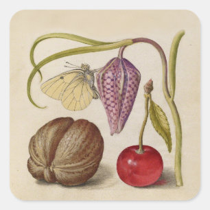 Sticker Carré Papillons noix Fleur Cerisier Aquarelle Art