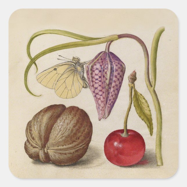 Sticker Carré Papillons noix Fleur Cerisier Aquarelle Art (Devant)