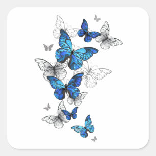 Sticker Carré Papillons volants bleus Morpho