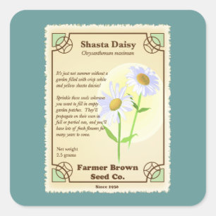 Sticker Carré Paquet de graine de marguerite de Shasta