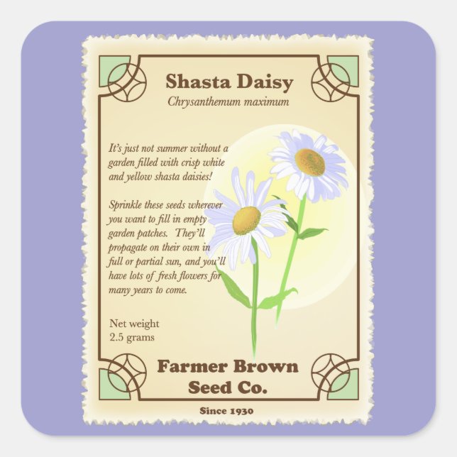 Sticker Carré Paquet de semences Shasta Daisy (Devant)