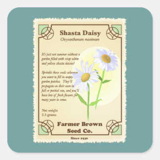 Sticker Carré Paquet de semences Shasta Daisy