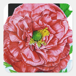 Sticker Carré Paquet de semences Vintage Poppy