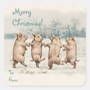 Sticker Carré Paquet drôle mignon de "Joyeux Noël" de porcs de