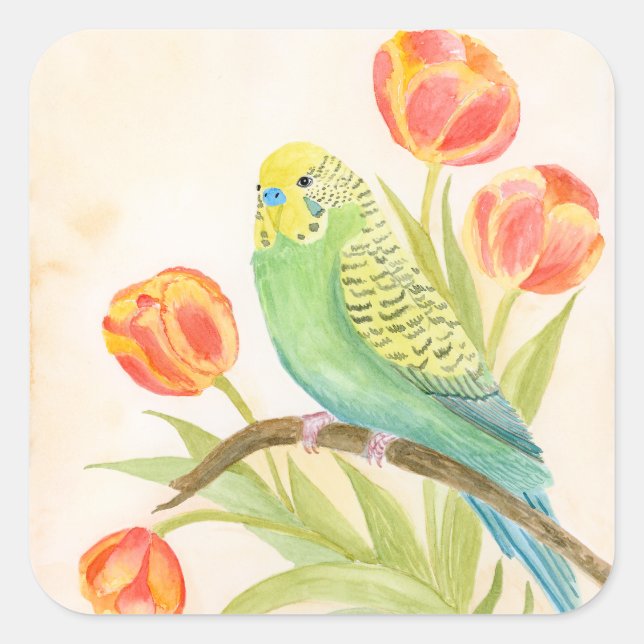 Sticker Carré Parakeet with Tulips  (Devant)
