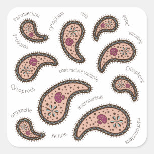 Sticker Carré Paramecia Paisley Biologie Science Microbe Blanc