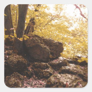 Sticker Carré parc national de l' iowa