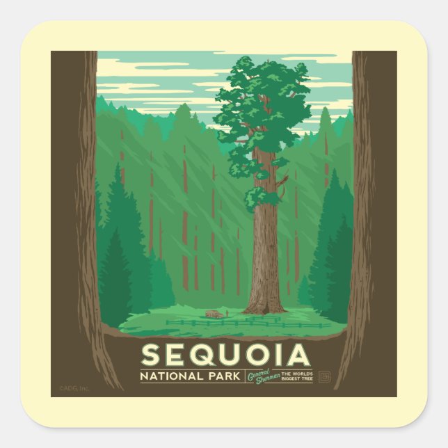Sticker Carré Parc national de Sequoia (Devant)