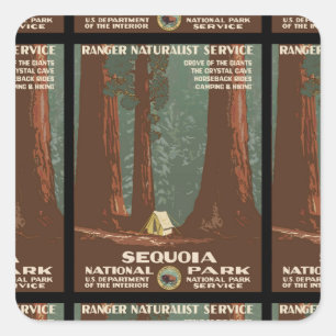 Sticker Carré Parc national de Sequoia