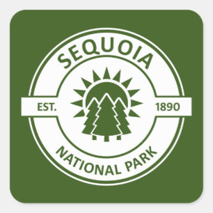 Sticker Carré Parc national de Sequoia Sun Trees