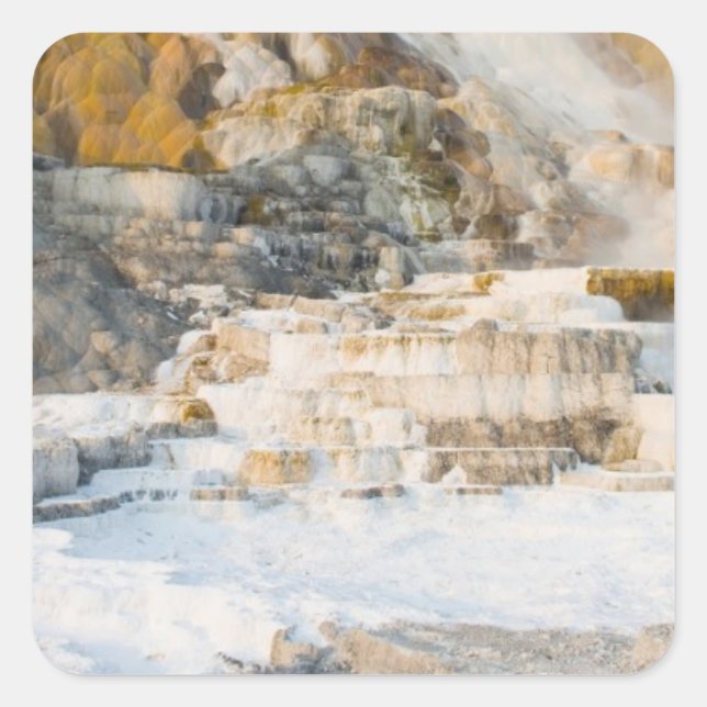 Sticker Carré Parc national de Yellowstone (Devant)