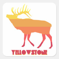 Parc national de Yellowstone Elk