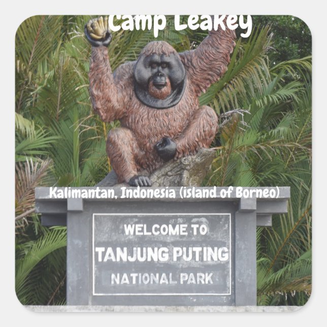 Sticker Carré Parc national du Camp Leakey Tanjung Puting (Devant)