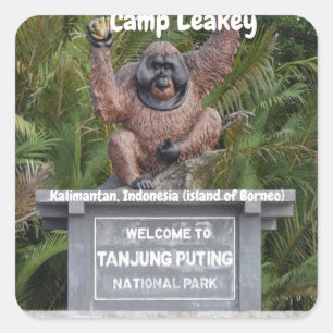 Sticker Carré Parc national du Camp Leakey Tanjung Puting