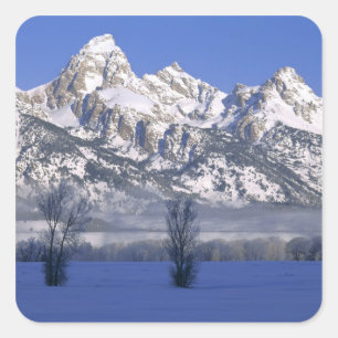 Sticker Carré PARC NATIONAL GRAND TETON, WYOMING. ÉTATS-UNIS. Br