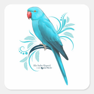 Sticker Carré Parrot bleu indien Ringneck