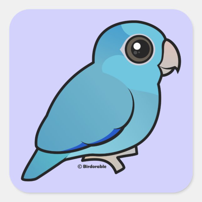 Sticker Carré Parrotlet Pacifique bleu (Devant)