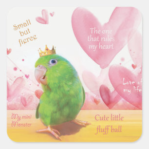 Sticker Carré Parrotlet, Roi de mon coeur